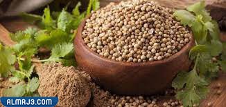 كزبرة Coriander