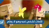 كلمات لشخص تحبه وهو لا يعلم