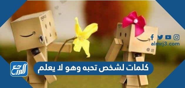كلمات لشخص تحبه وهو لا يعلم