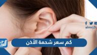 كم سعر شحمة الأذن