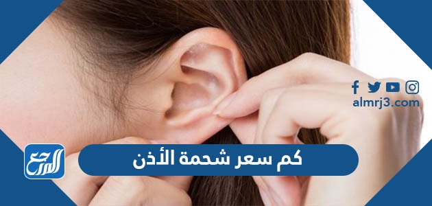 كم سعر شحمة الأذن