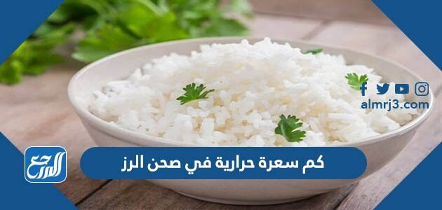 كم سعرة حرارية في صحن الرز - موقع المرجع