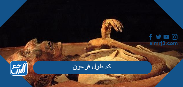 كم طول فرعون