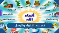 كم عدد الانبياء والرسل واسمائهم