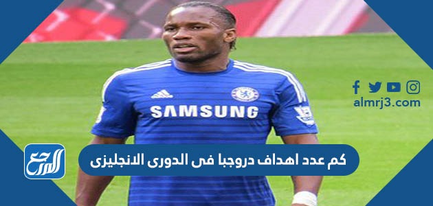 كم عدد أهداف دروجبا في الدوري الإنجليزي