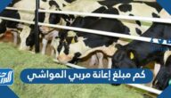 كم مبلغ إعانة مربي المواشي وكيفية حساب مبلغ إعانة مربي المواشي