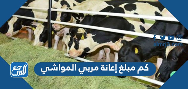 كم مبلغ إعانة مربي المواشي وكيفية حساب مبلغ إعانة مربي المواشي