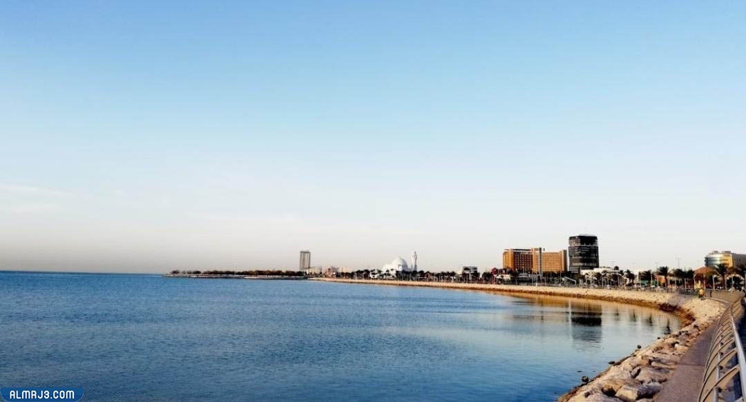 المشروع الجديد