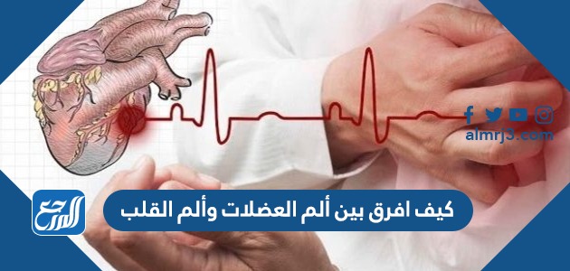 كيف أفرق بين ألم العضلات وألم القلب