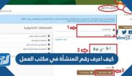 كيف اعرف رقم المنشأة في مكتب العمل 1447