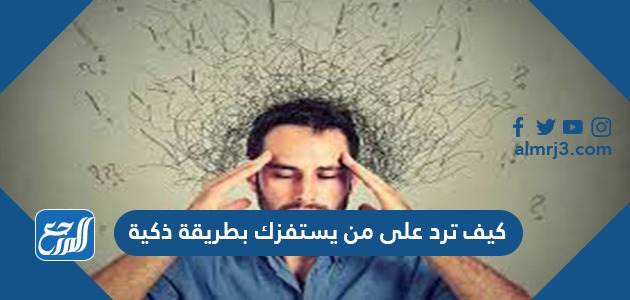 كيف ترد على من يستفزك بطريقة ذكية