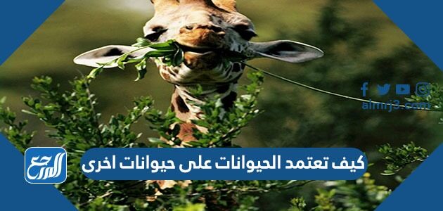 كيف تعتمد الحيوانات على حيوانات اخرى