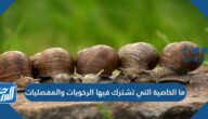 ما الخاصية التي تشترك فيها الرخويات والمفصليات