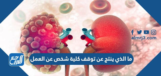 ما الذي ينتج عن توقف كلية شخص عن العمل