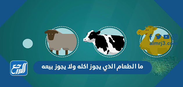 ما هو الطعام الذي يجوز اكله ولا يجوز بيعه