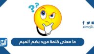 ما معنى كلمة مريد بضم الميم