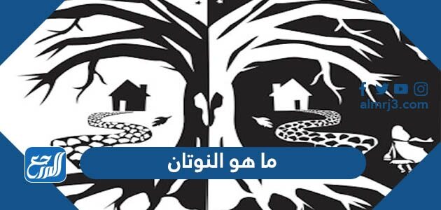 ما هو النوتان