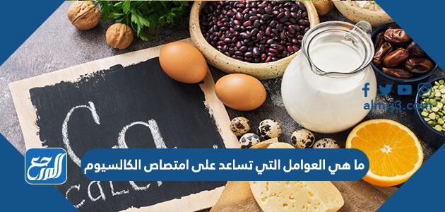ما هي العوامل التي تساعد على امتصاص الكالسيوم