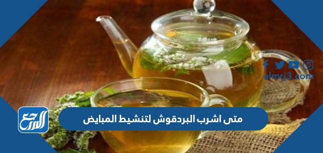 متى اشرب البردقوش لتنشيط المبايض