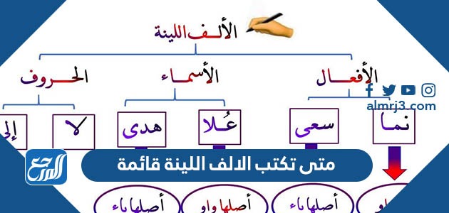 متى تكتب الالف اللينة قائمة