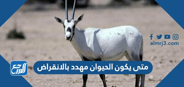 متى يكون الحيوان مهدد بالانقراض