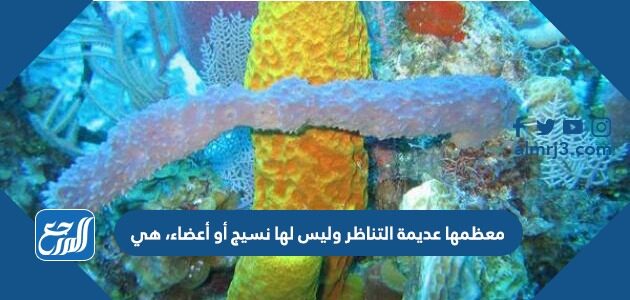 معظمها عديمة التناظر وليس لها نسيج أو أعضاء، هي