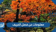 معلومات عن فصل الخريف