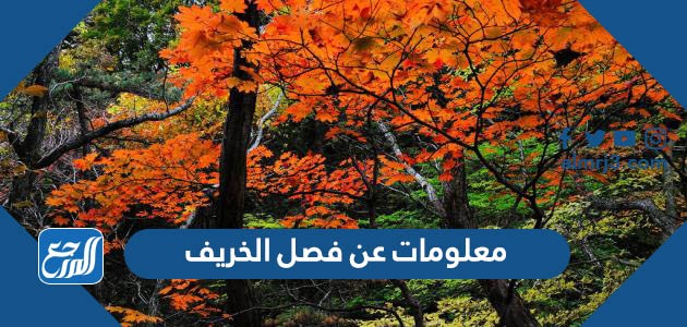 معلومات عن فصل الخريف