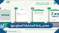ما معنى رابط المشاركة المبلغ عنها