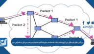 من أجل نقل الرسائل بين أجهزة الشبكات المختلفة بطريقة أكثر فاعلية يتم تقسيم كل رسالة إلى حزم