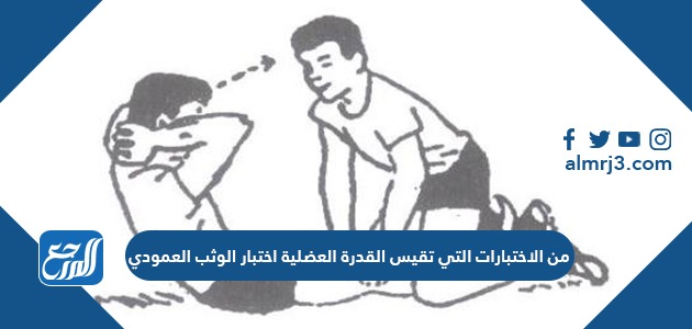 من الاختبارات التي تقيس القدرة العضلية اختبار الوثب العمودي