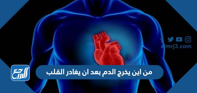 من اين يخرج الدم بعد ان يغادر القلب