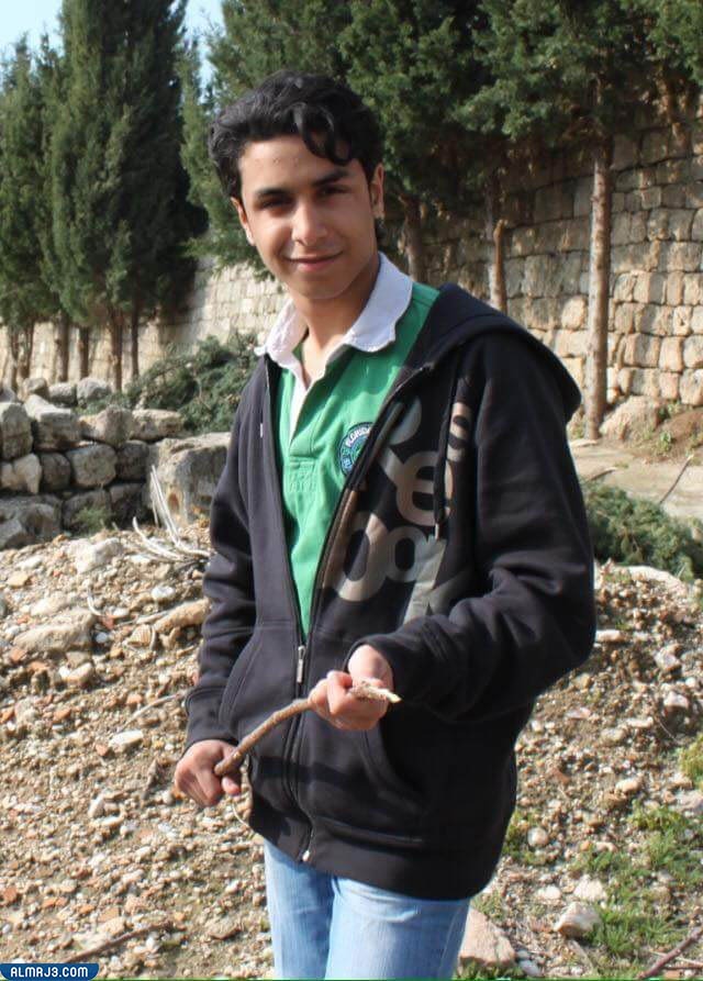 من هو علي النمر ويكيبيديا