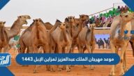 موعد مهرجان الملك عبدالعزيز لمزاين الإبل 1447