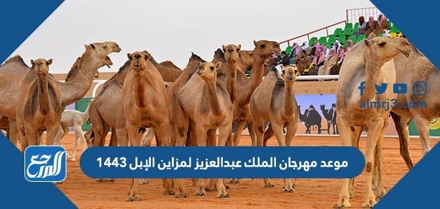 موعد مهرجان الملك عبدالعزيز لمزاين الإبل 1443