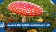 نادرا ما تنتج الفطريات الدعامية أبواغا لا جنسية.