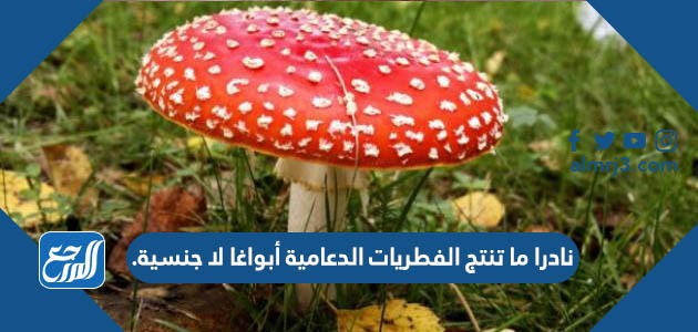نادرا ما تنتج الفطريات الدعامية أبواغا لا جنسية.