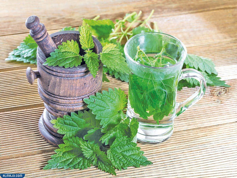 طريقة استعمال نبات القراص