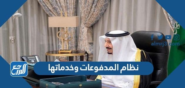 ما هو نظام المدفوعات وخدماتها في المملكة