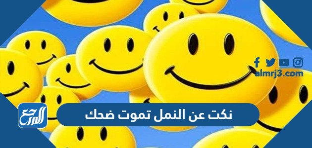 نكت عن النمل تموت ضحك 2022