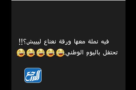 نكت نمل تموت من الضحك بالصور 2022