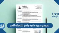 نموذج سيرة ذاتية جاهز للتعبئة pdf