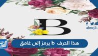 هذا الحرفb يرمز إلى غامق