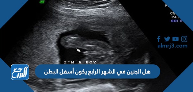 هل الجنين في الشهر الرابع يكون أسفل البطن