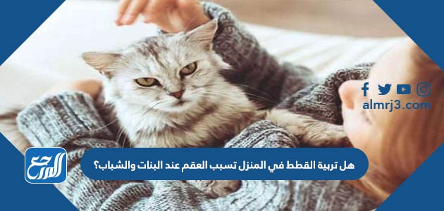 هل تربية القطط في المنزل تسبب العقم عند البنات والشباب؟