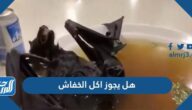 هل يجوز اكل الخفاش