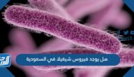 هل يوجد فيروس شيغيلا في السعودية هل يوجد فيروس شيغيلا في السعودية