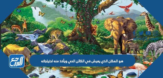 هو المكان الذي يعيش في الكائن الحي ويأخذ منه احتياجاته