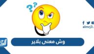 وش معنى بلاير