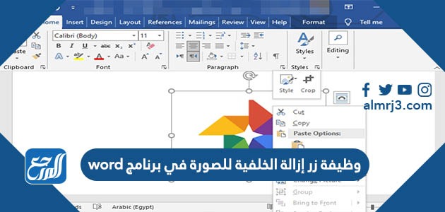 وظيفة زر إزالة الخلفية للصورة في برنامج word